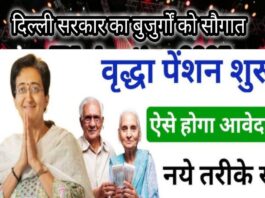 Delhi Government Announcement Old Age Pension Scheme