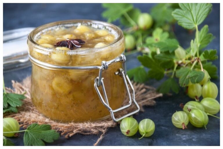 Health Benefits Of Eating Amla: सर्दियों में रोजाना खाएं ये एक चीज़ , 8 रोगो की है ये रामबाण दवा..