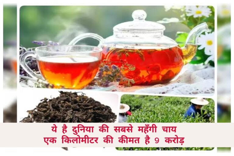 Most Expensive Tea in World: