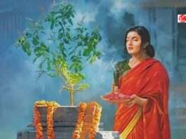 Tulsi Plants Rules