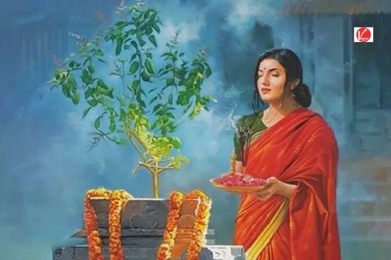 Tulsi Plants Rules