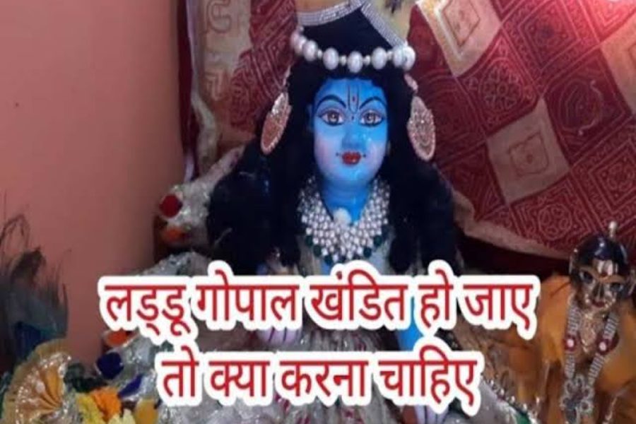 Laddu Gopal Laddu Gopal