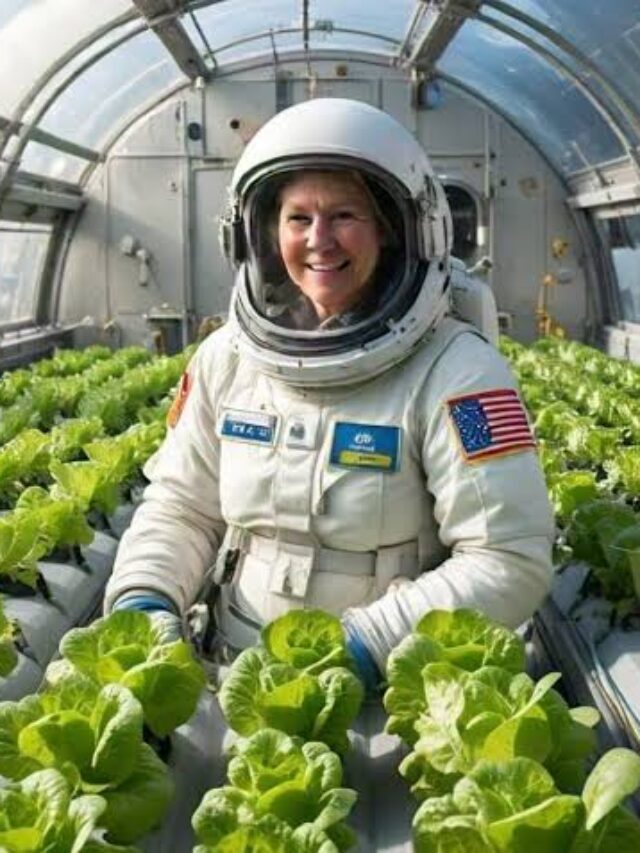 Space farming Method