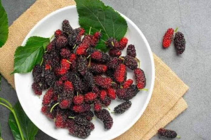 Foods For Strong Bones