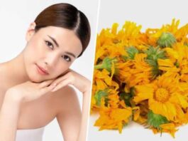 Marigold Benefits For Skin