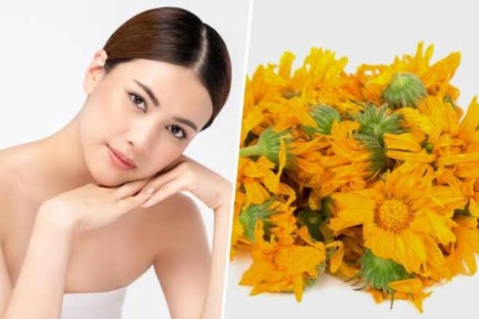 Marigold Benefits For Skin