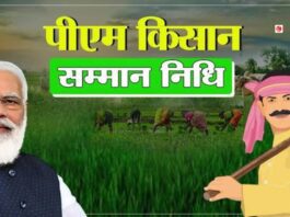 PM Kisan 19th Installment