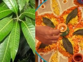 Vastu Tips