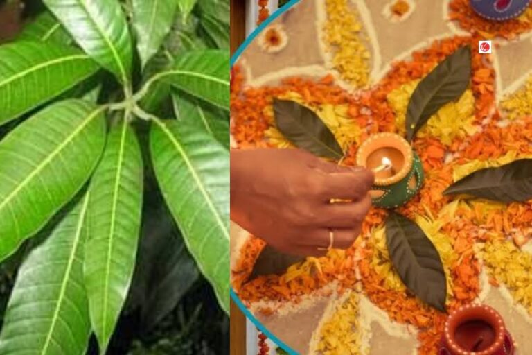 Vastu Tips