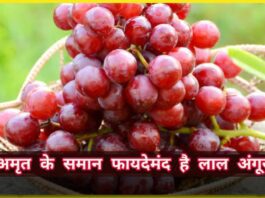 Red Grapes Benefits: