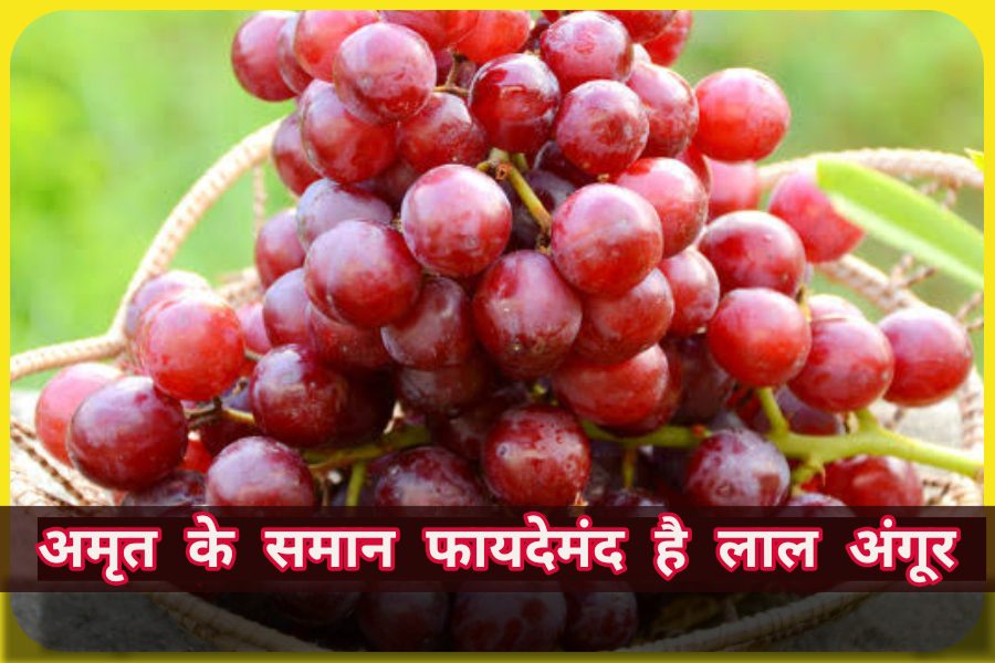 Red Grapes Benefits: