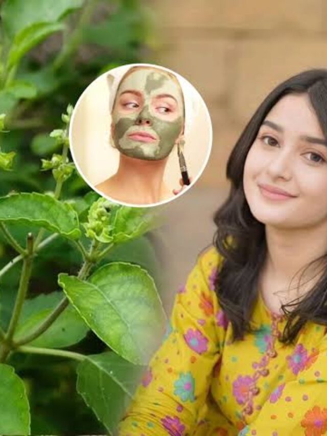 Tulsi For Skin Care:Tulsi For Skin Care: