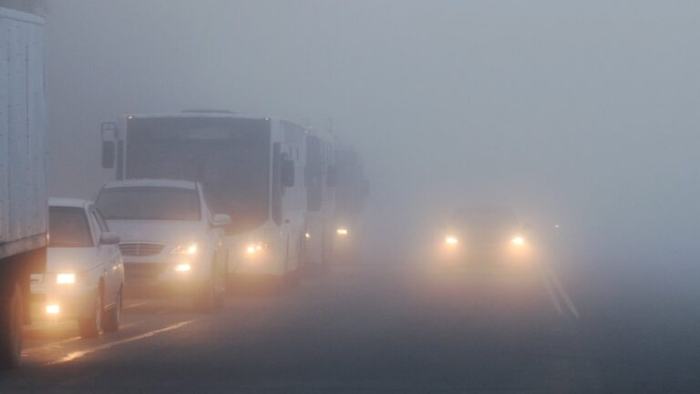 कोहरे में ड्राइव करते हुए इन बातों का रखें ख्याल, सफर होगा बेहद ‘आसान’