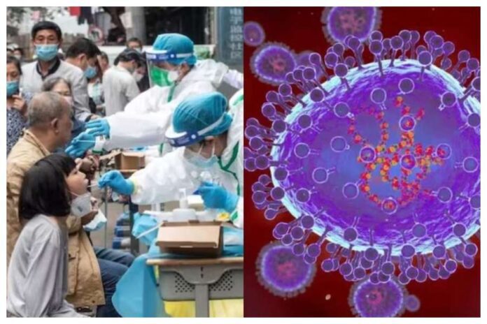hmpv virus