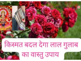 Vastu Tips