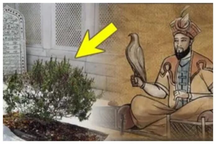 Aurangzeb Grave Removal Disputes