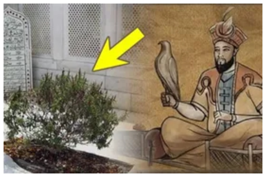 Aurangzeb Grave Removal Disputes