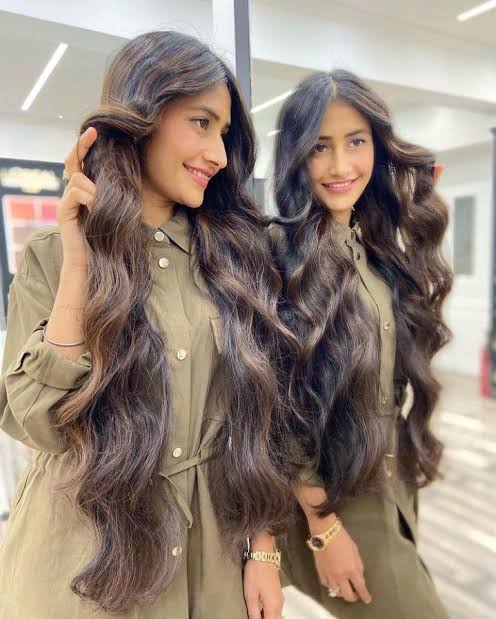 Dhansree Varma Long Hair Tips