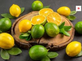 Nimbu Ke Totke