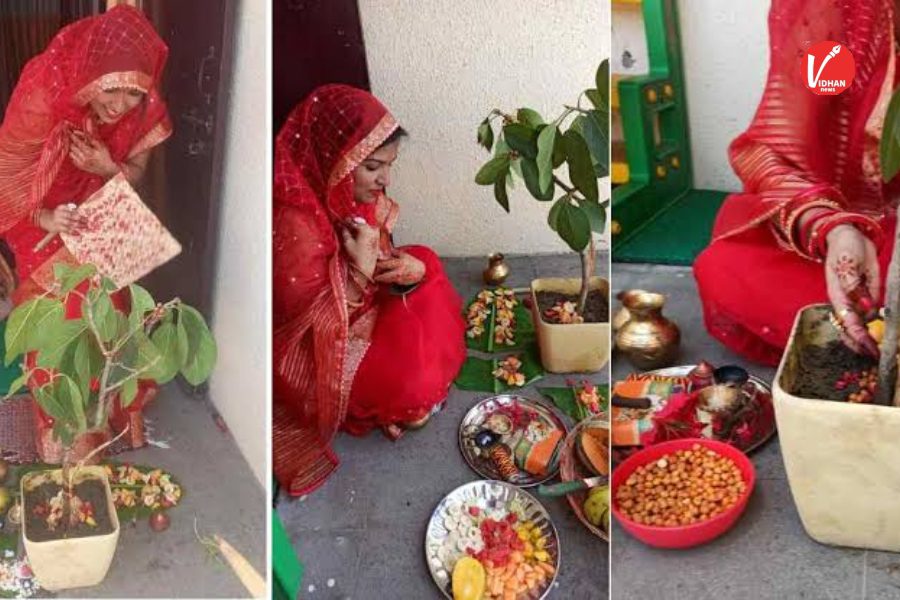 Vat Savitri 2025: Vat Savitri 2025: