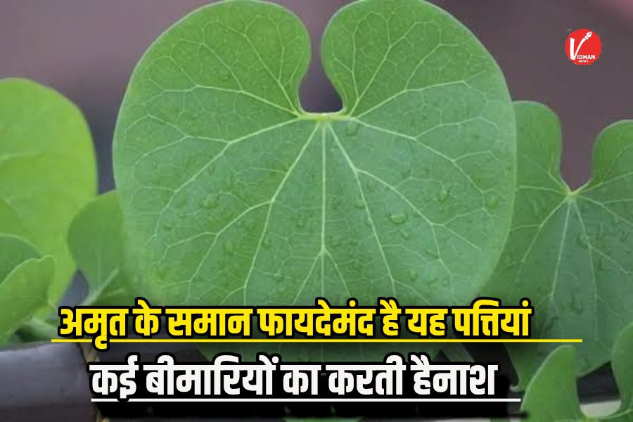 Health Tips
