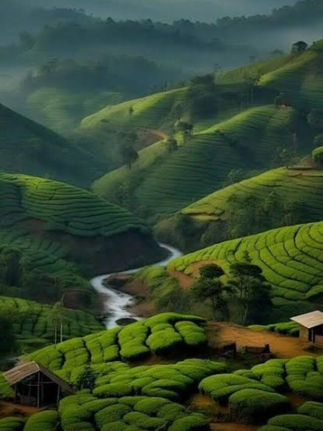 Most Beautiful Hill station