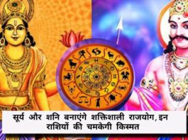 Surya Shani Kendra Yog