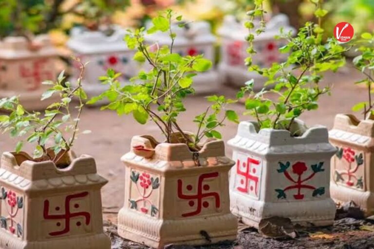 Tulsi Ke Upay