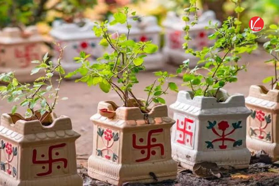 Tulsi Ke Upay Tulsi Ke Upay