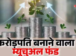 Mutual Fund
