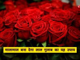 Vastu Tips