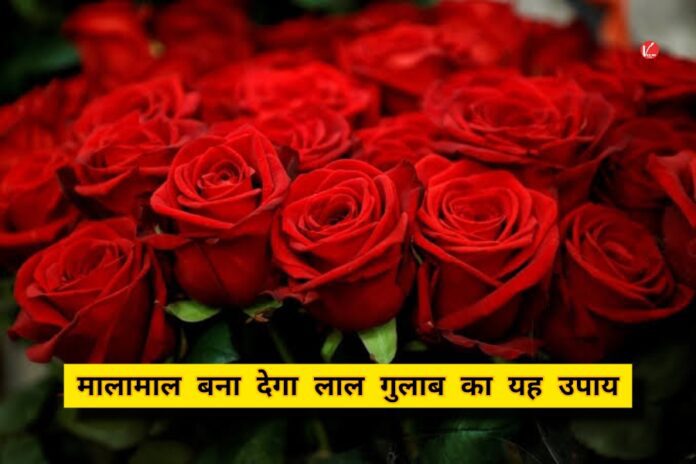 Vastu Tips