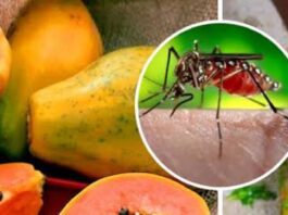 Malaria Diet