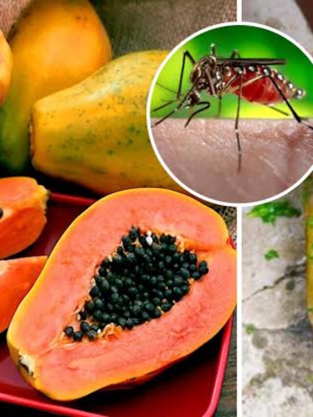 Malaria Diet