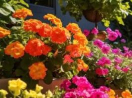 Planting Tips