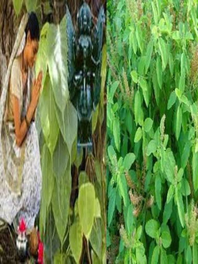 Vastu Tips For Money