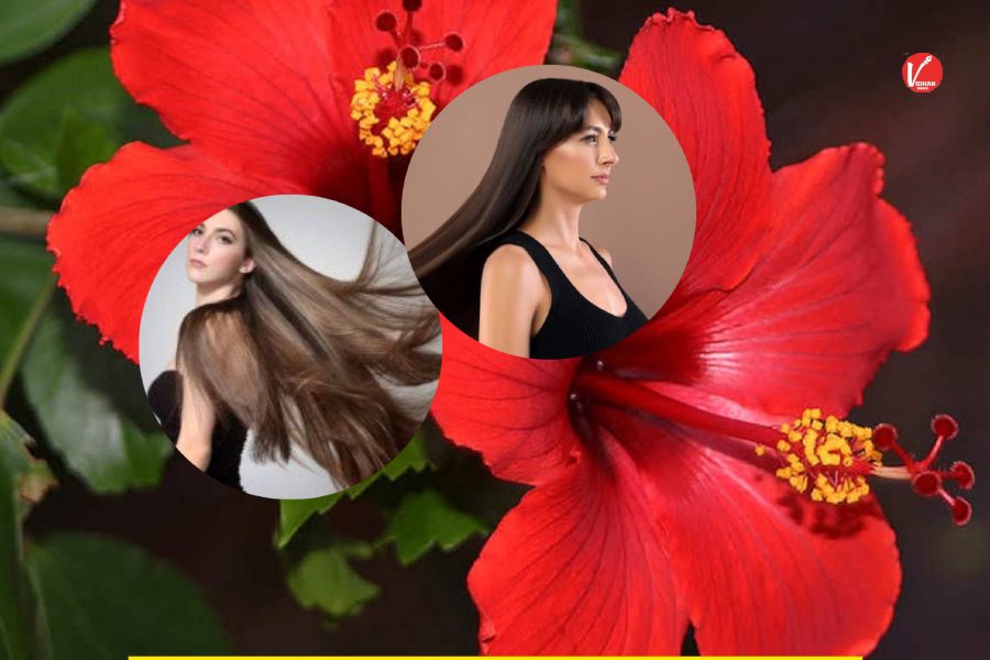Hair Care Tips Hair Care Tips