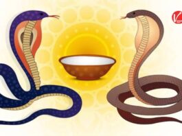 Nag Panchami 2025