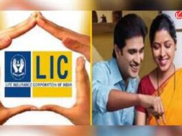 LIC Aadhaar Shila Plan: