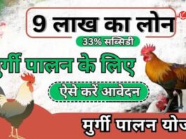 Poultry Farm Loan Yojana