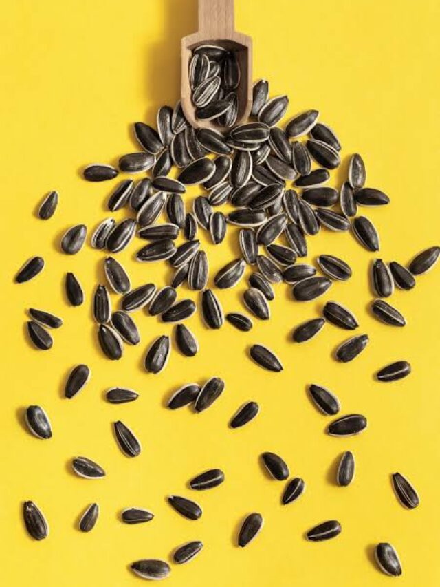 Sunflower Seeds