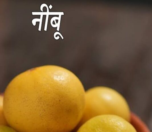 Lemon Health Benefits: रोजाना नींबू का करें सेवन, शरीर से दूर होगी ये गंभीर बीमारियां