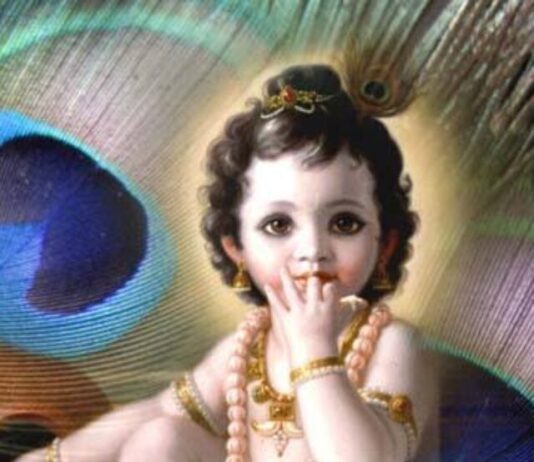 Janmashtami Vastu Tips:  जन्माष्टमी के दिन करें मोर पंख से ये वास्तु उपाय, दूर हो जाएगी गरीबी Janmashtami Vastu Tips:
