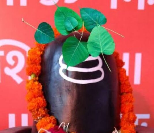 Sawan Astro Tips: सावन में करें पीपल के पते से ये उपाय, चमक जाएगी किस्मत Sawan Astro Tips