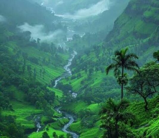 Best Tourist Palace:  मानसून में स्वर्ग की तरह खूबसूरत हो जाती है  ये घाटी, दूर-दूर से यहां घूमने आते हैं लोग Best Tourist Palace