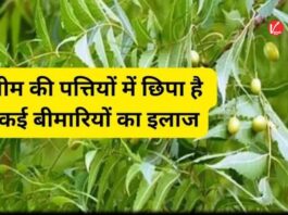 Neem Leaves Benefits: