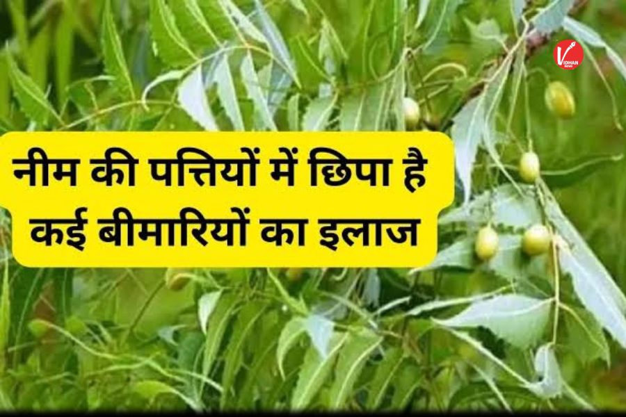 Neem Leaves Benefits: