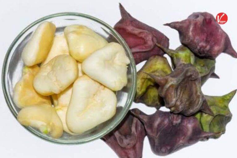 Singhara Benefits: पानी से निकलने वाला ये फल है अमृत के समान फायदेमंद, रोजाना इसका सेवन करने से बीमारियां होती है दूर 