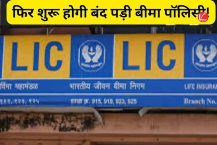 LIC Policy
