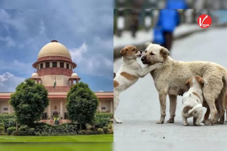 Supreme Court का बड़ा फैसला! आजाद किए जाएंगे पकड़े गए सभी कुत्ते, फीडिंग प्वाइंट पर ही खिला सकेंगे खाना, कानून तोड़ने पर होगा एक्शन